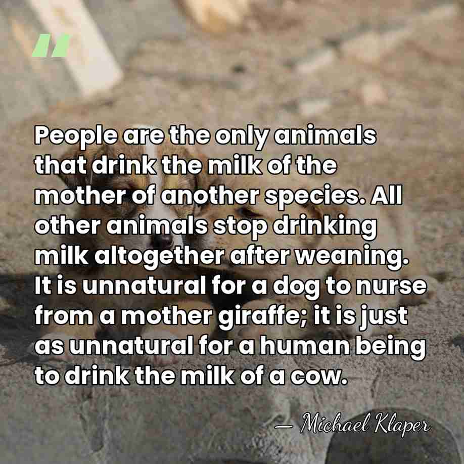 People are the only animals that drink the milk of the mother&hellip; - Michael Klaper