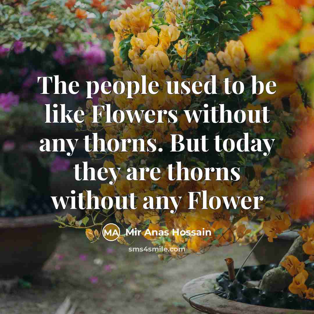 “The people used to be like Flowers without any thorns.…” quote by Mir Anas Hossain