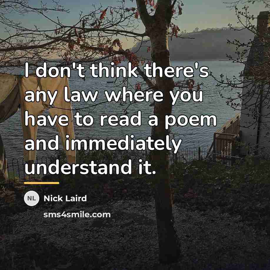 “I don't think there's any law where you have to…” quote by Nick Laird