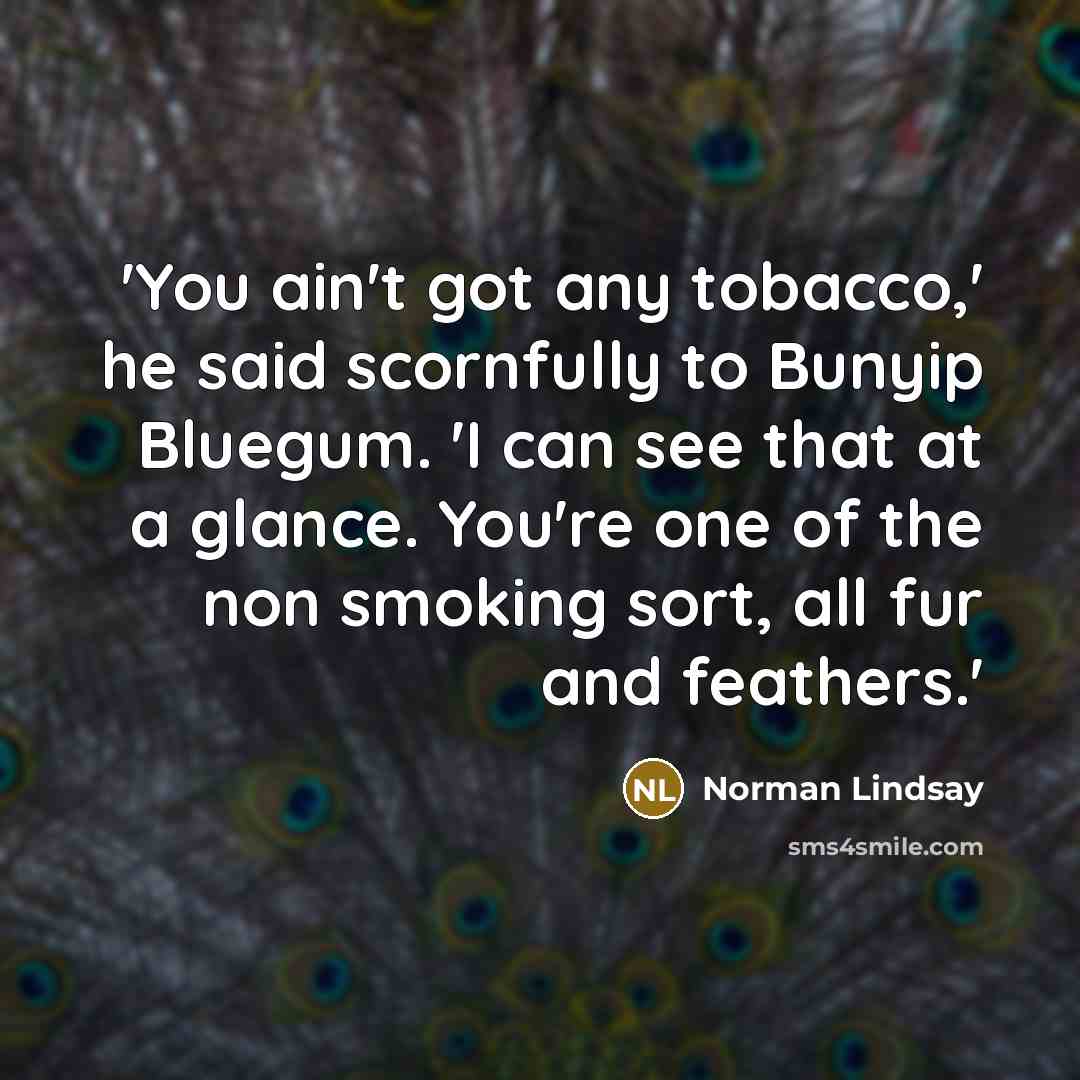 “'You ain't got any tobacco,' he said scornfully to Bunyip…” quote by Norman Lindsay