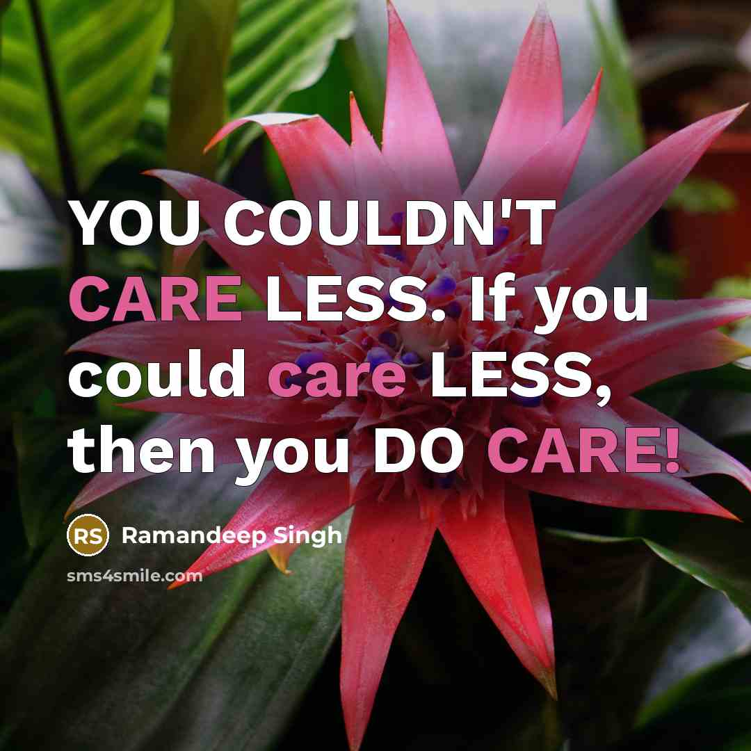 “YOU COULDN'T CARE LESS. If you could care LESS, then you DO CARE!” quote by Ramandeep Singh