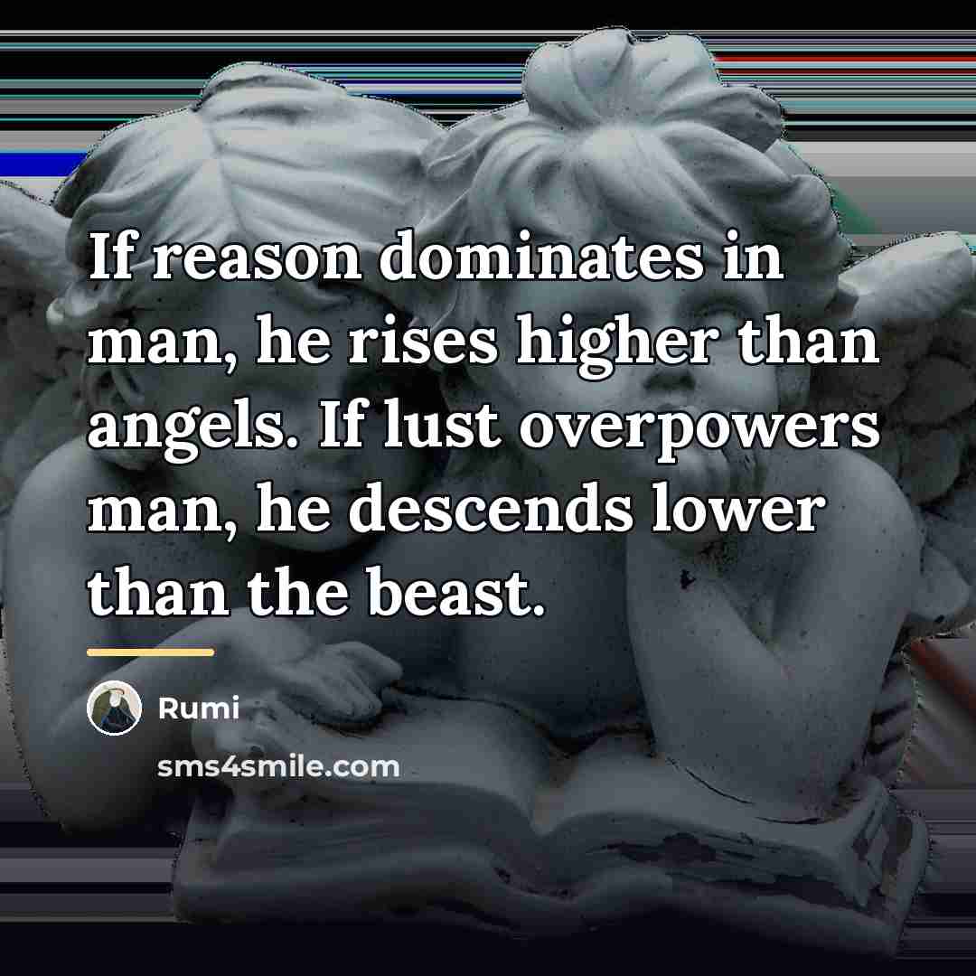“If reason dominates in man, he rises higher than angels.…” quote by Rumi