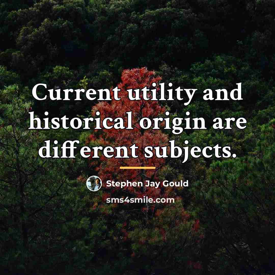 “Current utility and historical origin are different subjects.…” quote by Stephen Jay Gould