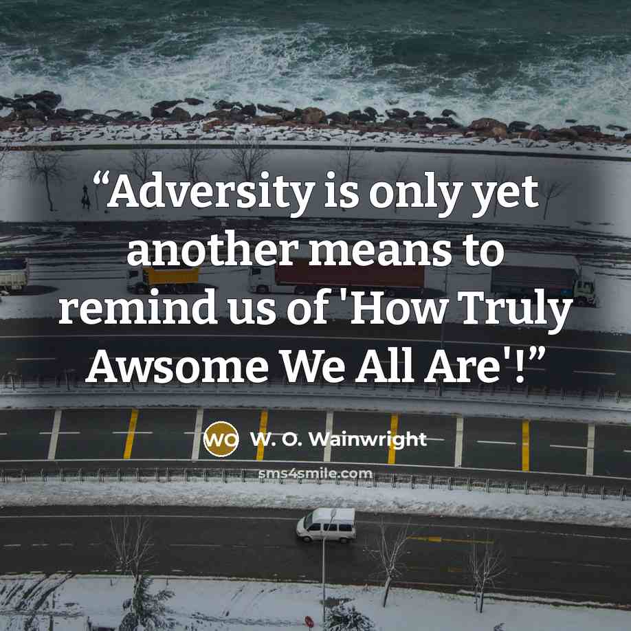 “Adversity is only yet another means to remind us of 'How Truly Awsome We All Are'!” quote by W. O. Wainwright