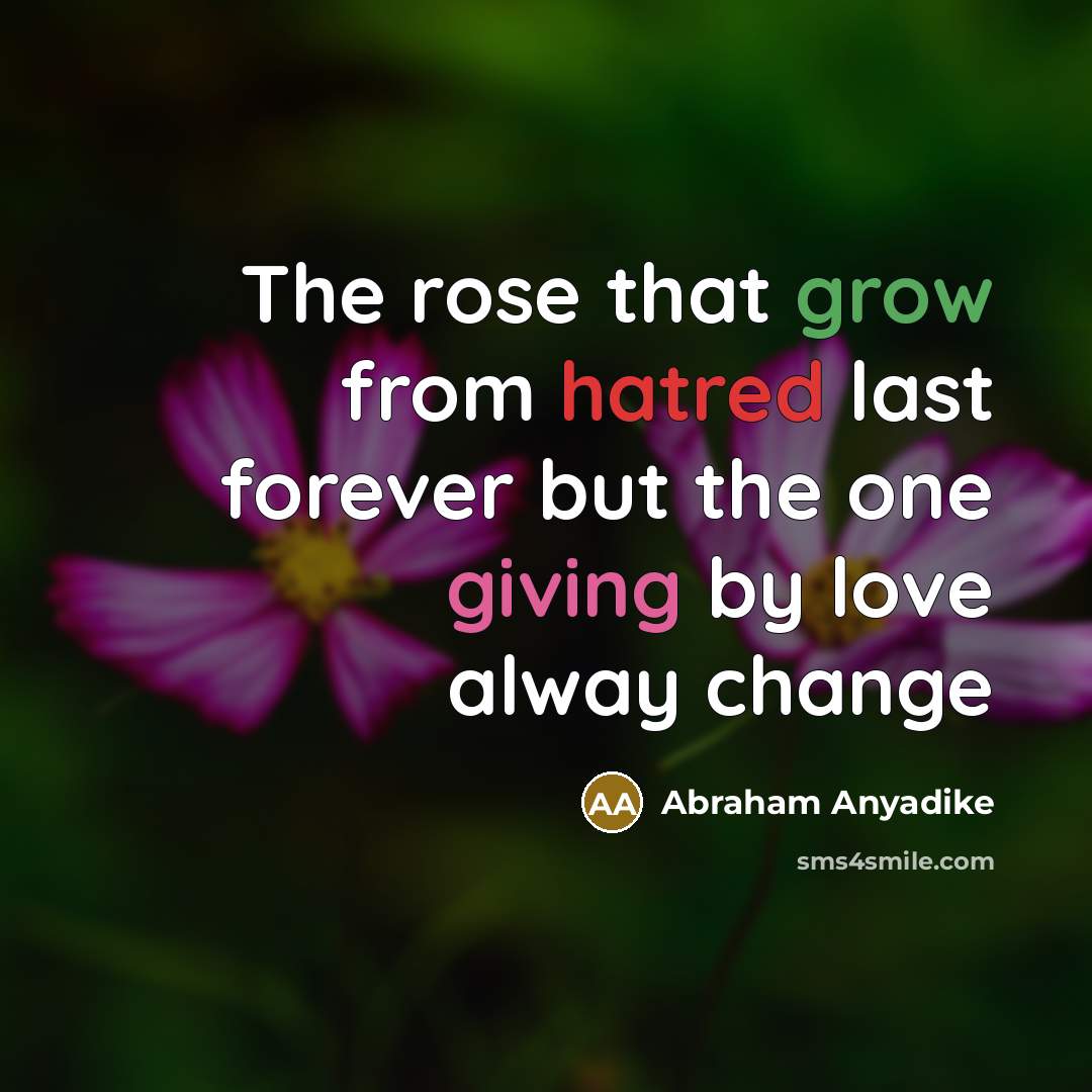 “The rose that grow from hatred last forever but the one giving by love alway change” quote by Abraham Anyadike