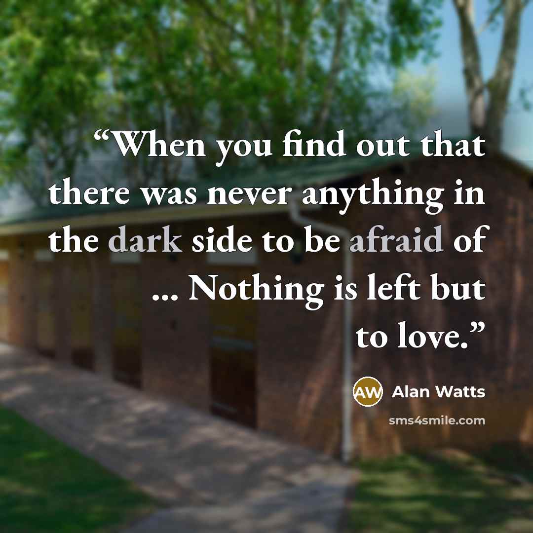 “When you find out that there was never anything in the dark side to be afraid of … Nothing is left but to love.” quote by Alan Watts