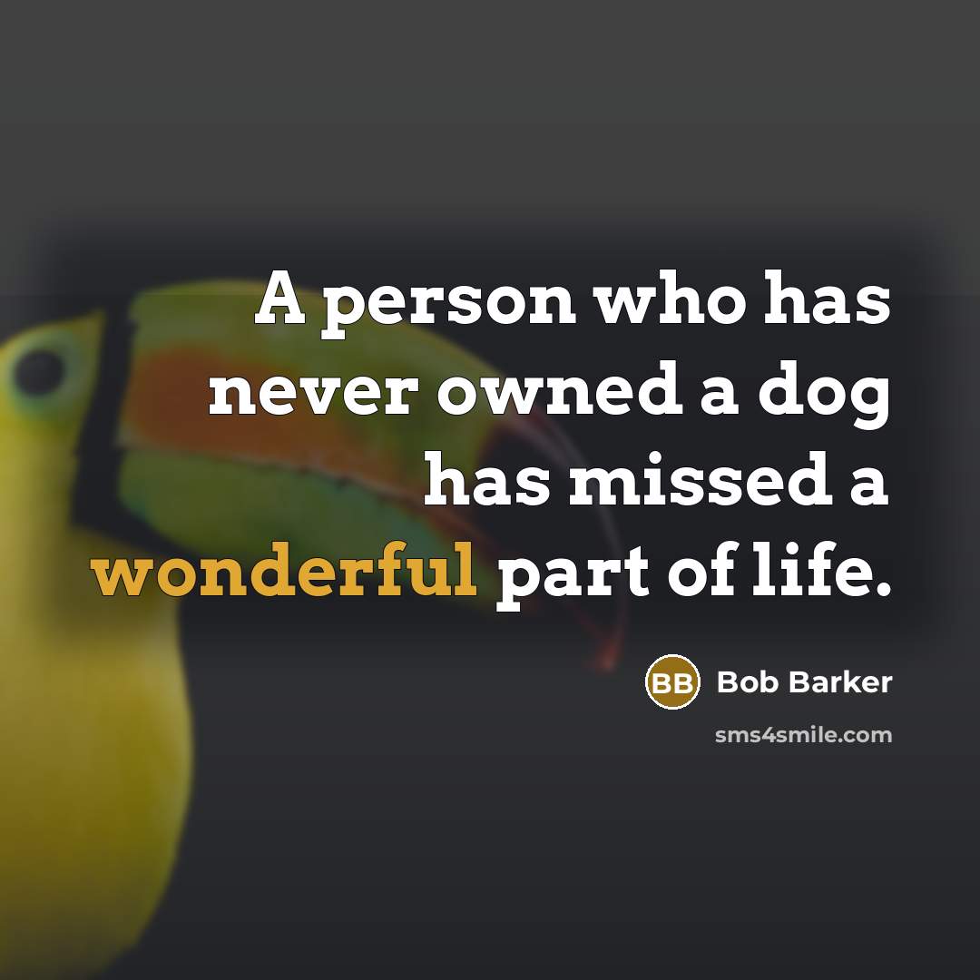 “A person who has never owned a dog has missed…” quote by Bob Barker