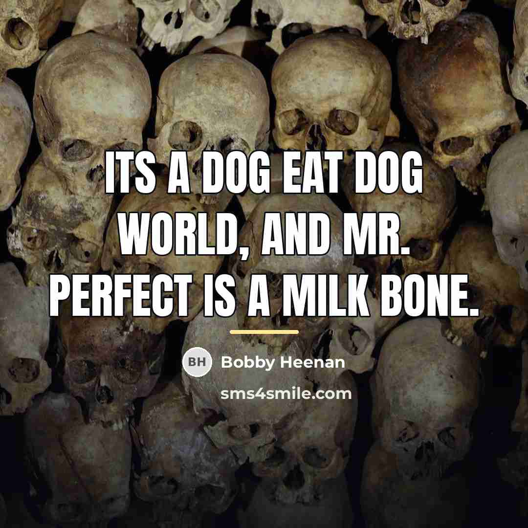 “Its a dog eat dog world, and Mr. Perfect is…” quote by Bobby Heenan