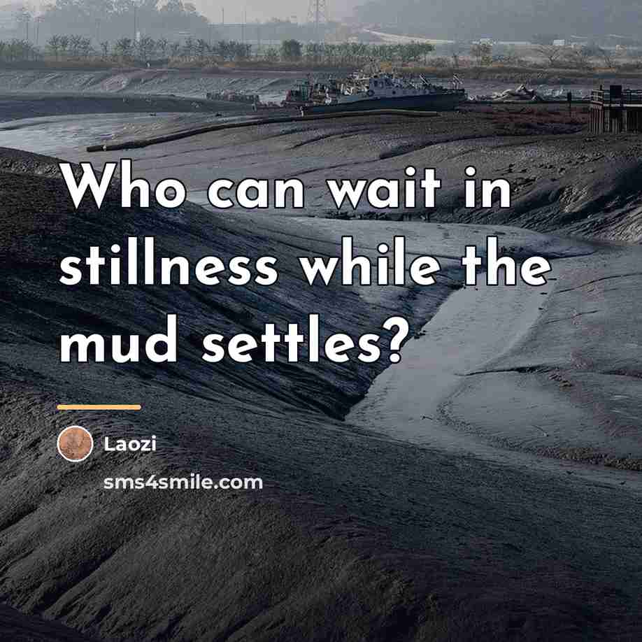 “Who can wait in stillness while the mud settles?…” quote by Laozi