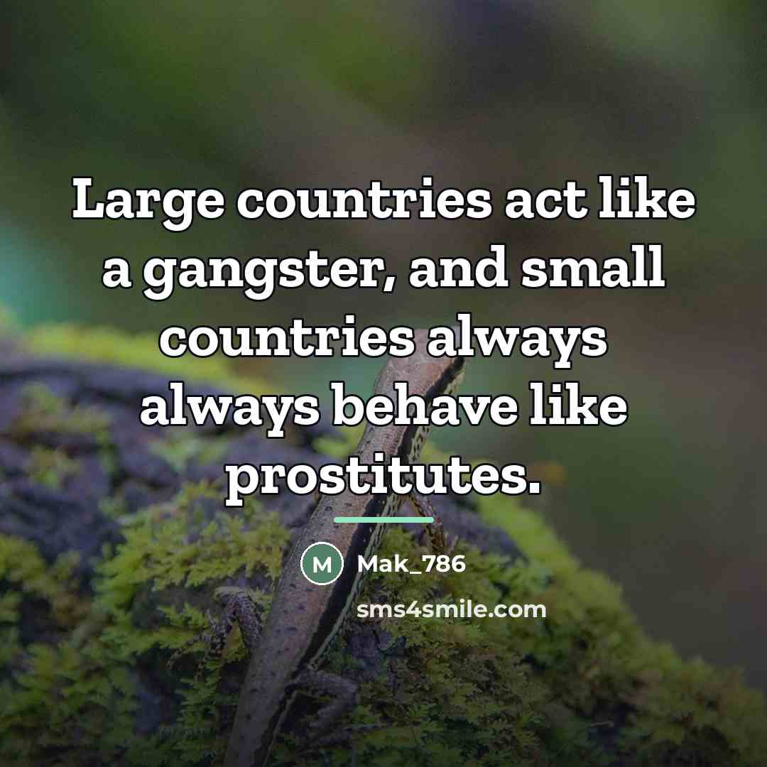 “Large countries act like a gangster, and small countries always…” quote by Mak_786