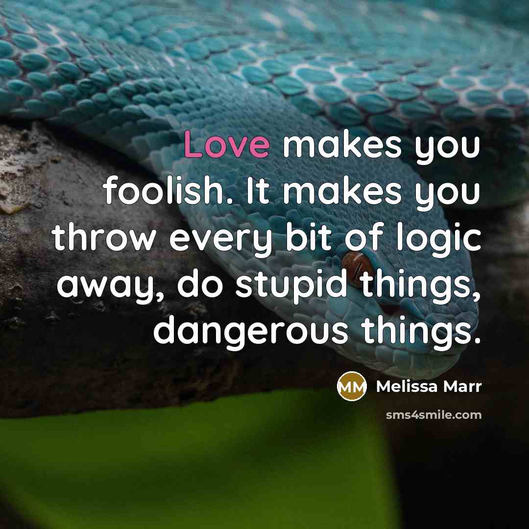 “Love makes you foolish. It makes you throw every bit…” quote by Melissa Marr