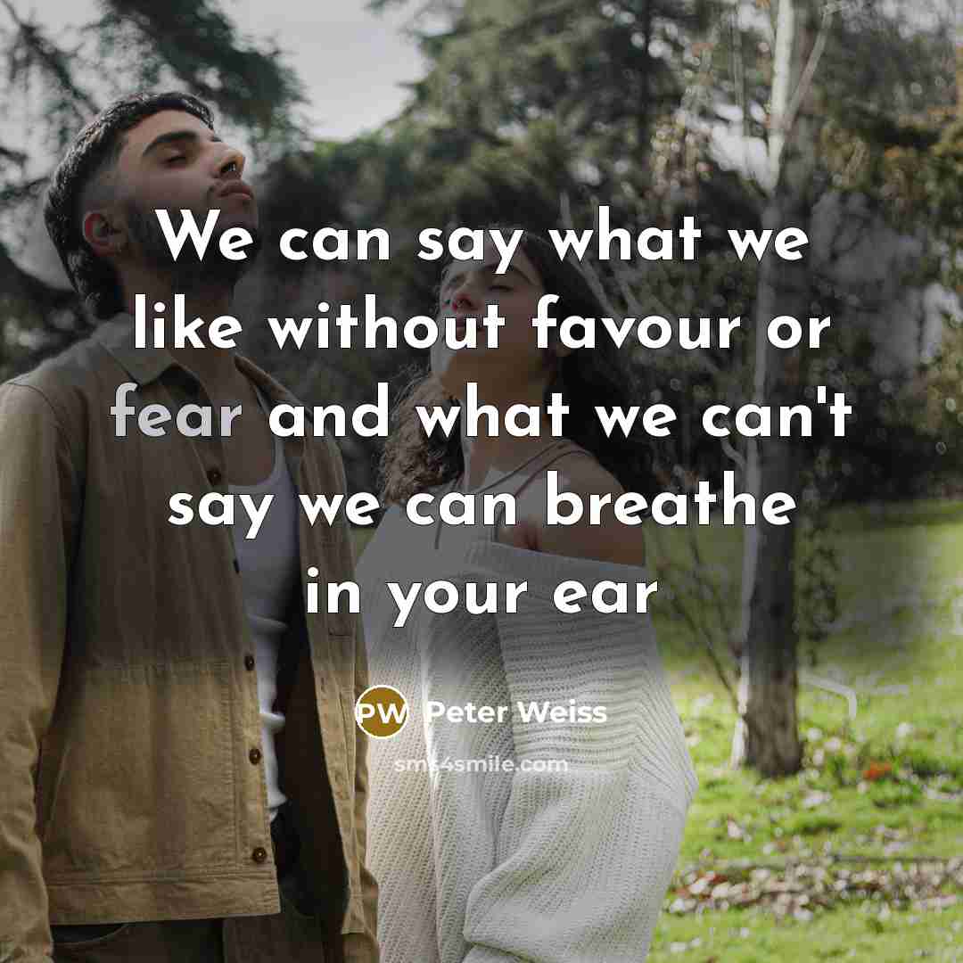 “We can say what we like without favour or fear…” quote by Peter Weiss