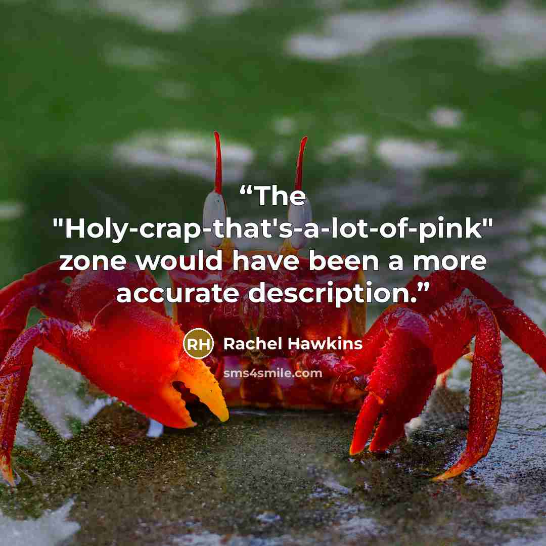 “The "Holy-crap-that's-a-lot-of-pink" zone would have been a more accurate description.” quote by Rachel Hawkins