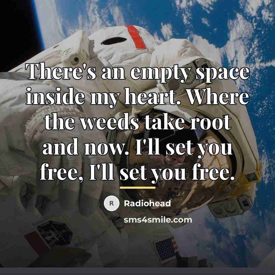 “There's an empty space inside my heart. Where the weeds…” quote by Radiohead