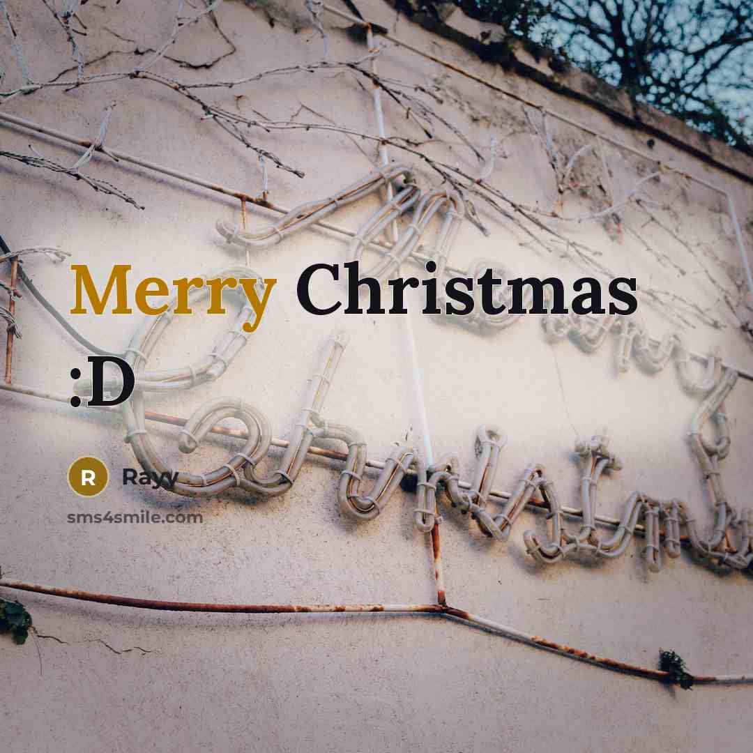“Merry Christmas :D” quote by Rayy