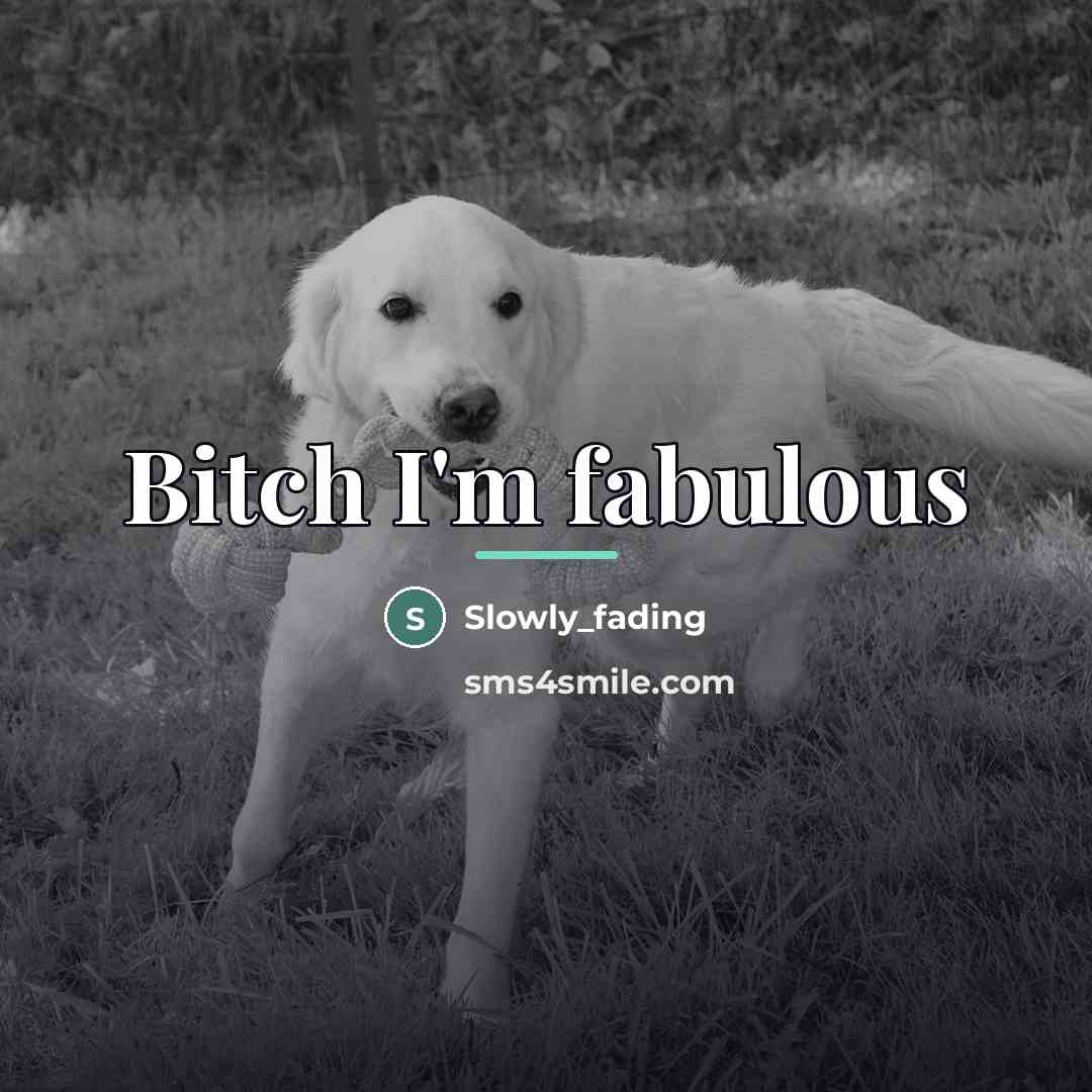 “Bitch I'm fabulous…” quote by Slowly_fading