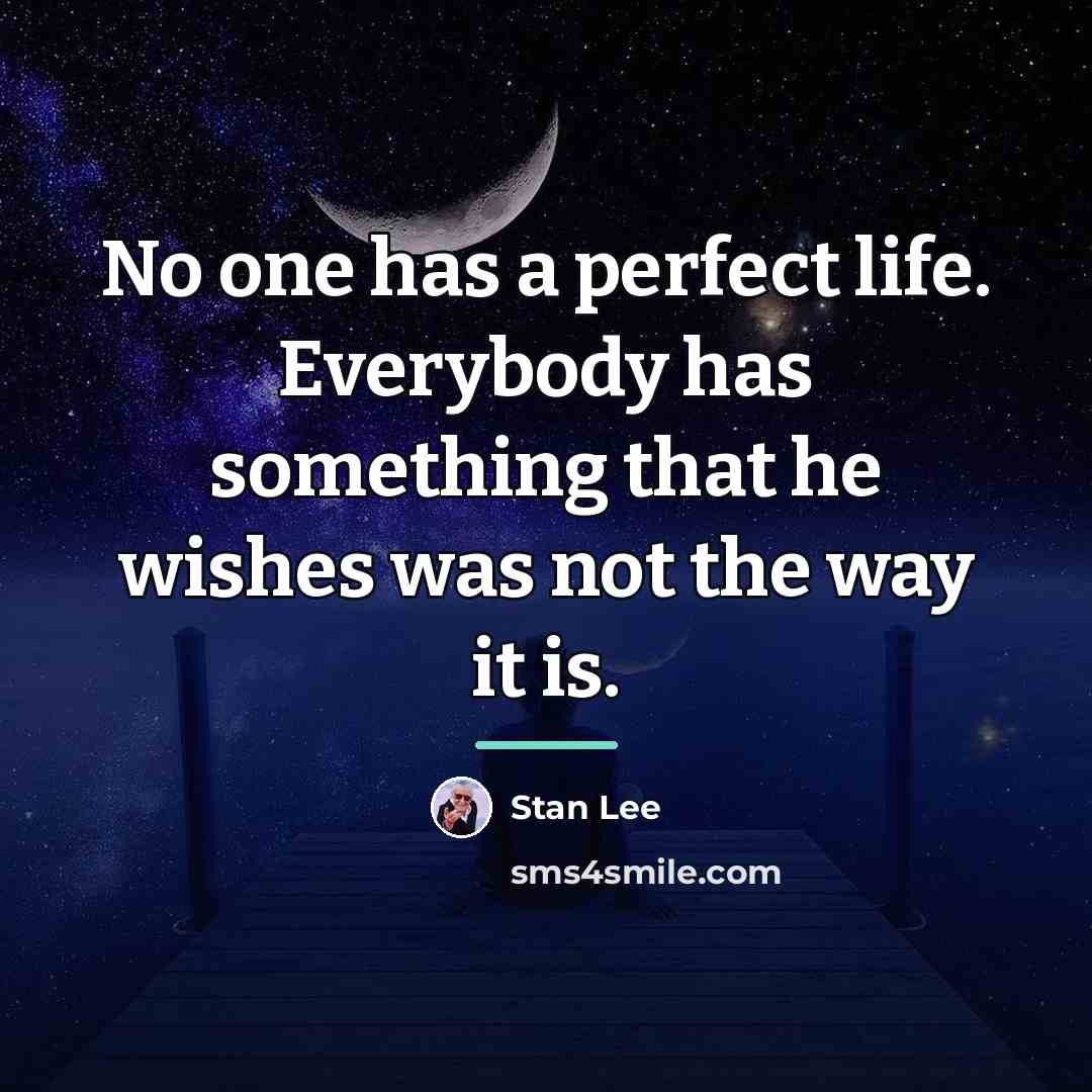 “No one has a perfect life. Everybody has something that…” quote by Stan Lee