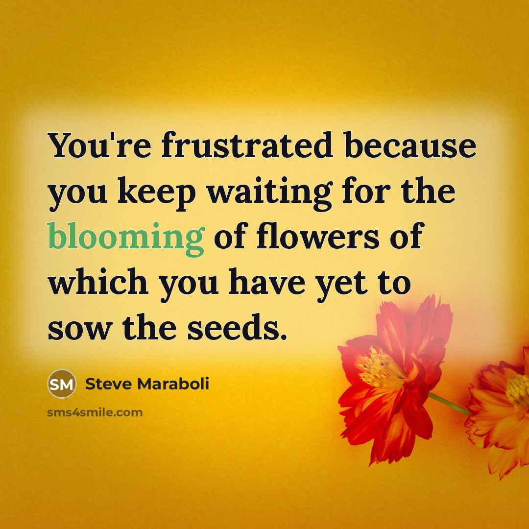 “You're frustrated because you keep waiting for the blooming of…” quote by Steve Maraboli
