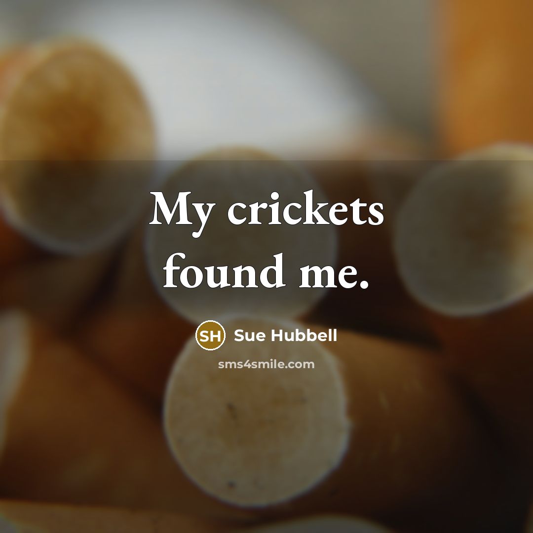 “My crickets found me.” quote by Sue Hubbell