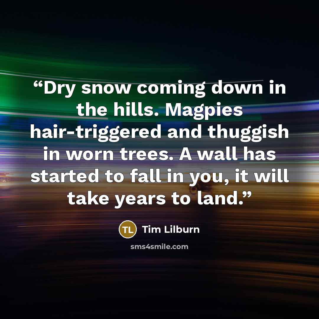 “Dry snow coming down in the hills. Magpies hair-triggered and thuggish in worn trees. A wall has started to fall in you, it will take years to land.” quote by Tim Lilburn