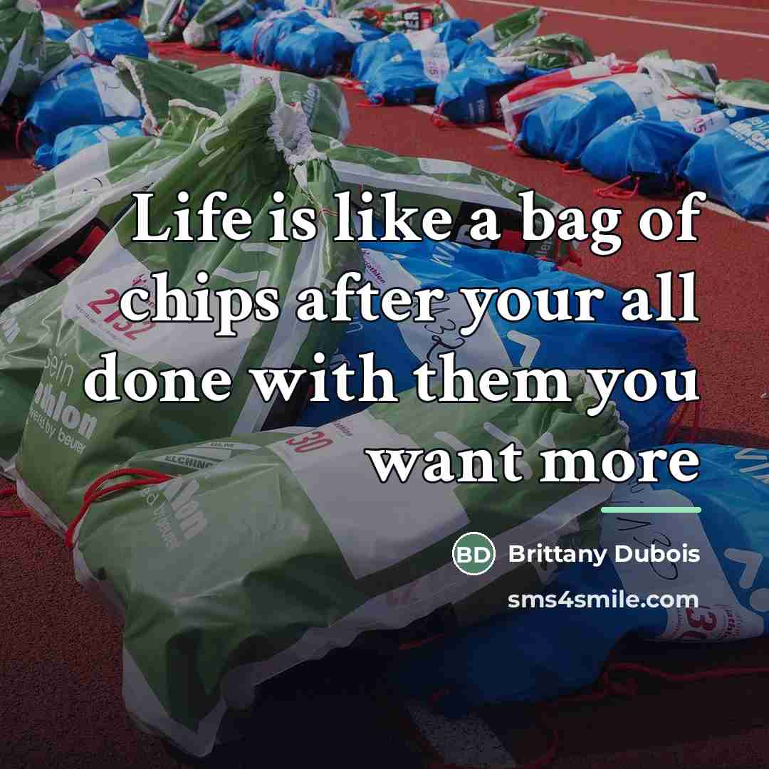 “Life is like a bag of chips after your all…” quote by Brittany Dubois