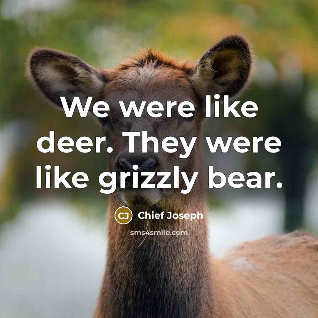 “We were like deer. They were like grizzly bear.…” quote by Chief Joseph