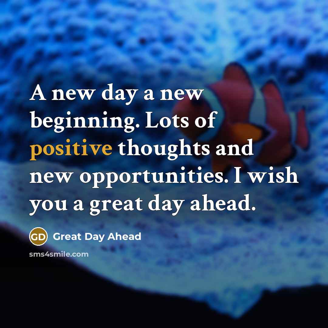 “A new day a new beginning. Lots of positive thoughts and new opportunities. I wish you a great day ahead.” quote by Great Day Ahead