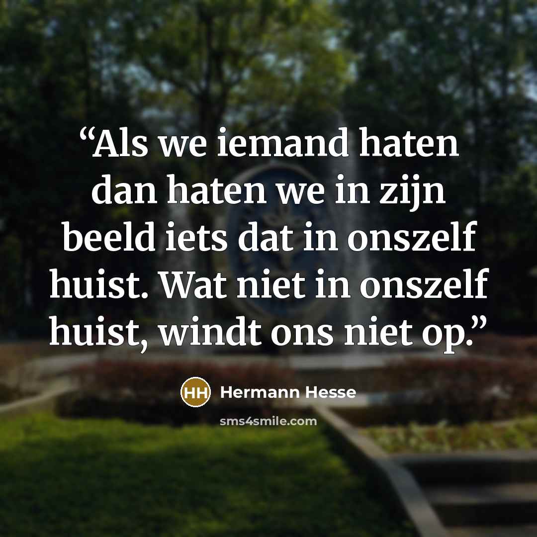 “Als we iemand haten dan haten we in zijn beeld iets dat in onszelf huist. Wat niet in onszelf huist, windt ons niet op.” quote by Hermann Hesse