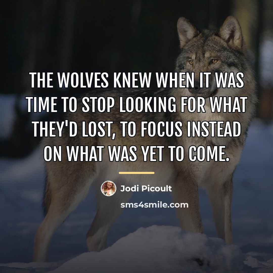 “The wolves knew when it was time to stop looking…” quote by Jodi Picoult