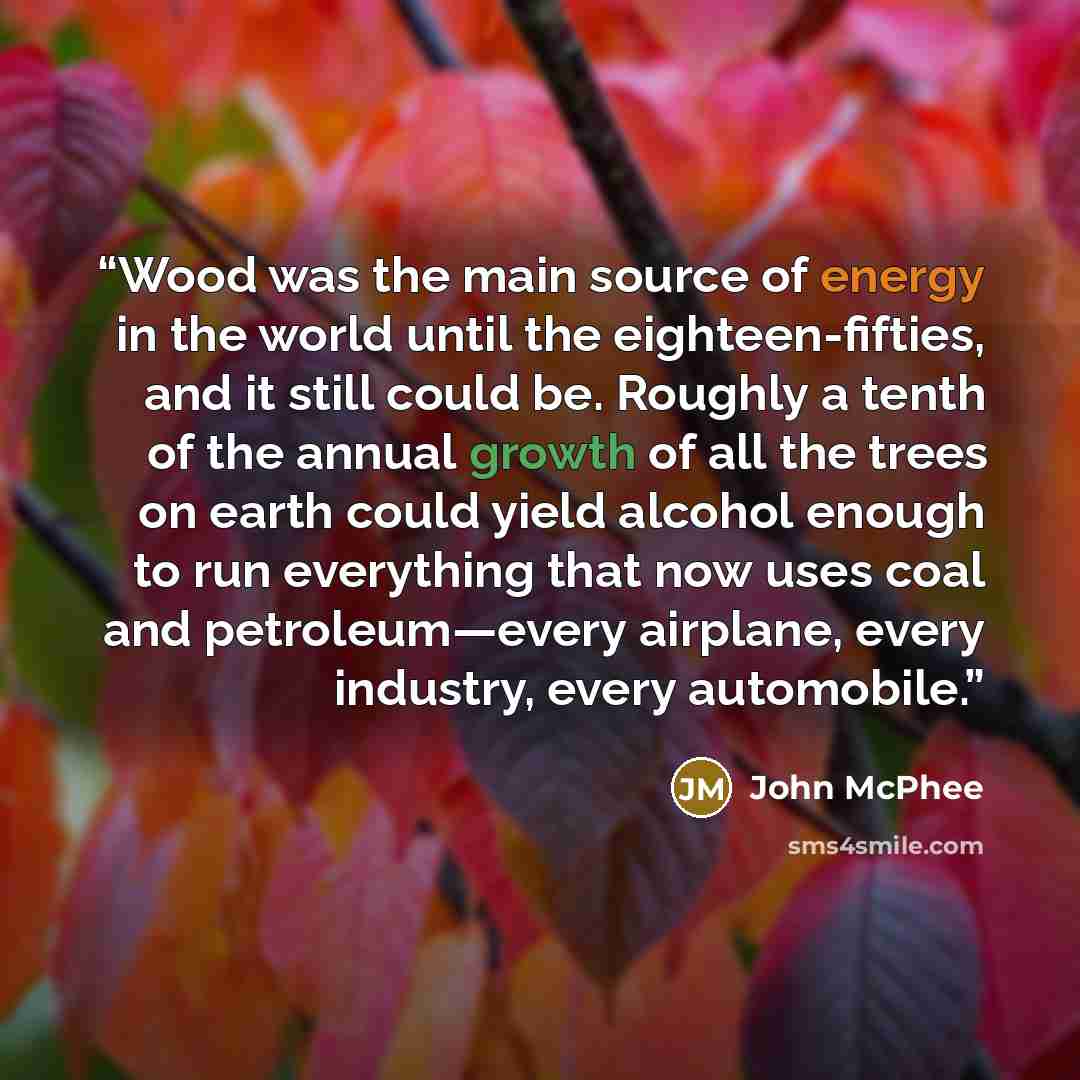 “Wood was the main source of energy in the world until the eighteen-fifties, and it still could be. Roughly a tenth of the annual growth of all the trees on earth could yield alcohol enough to run everything that now uses coal and petroleum—every airplane, every industry, every automobile.” quote by John McPhee
