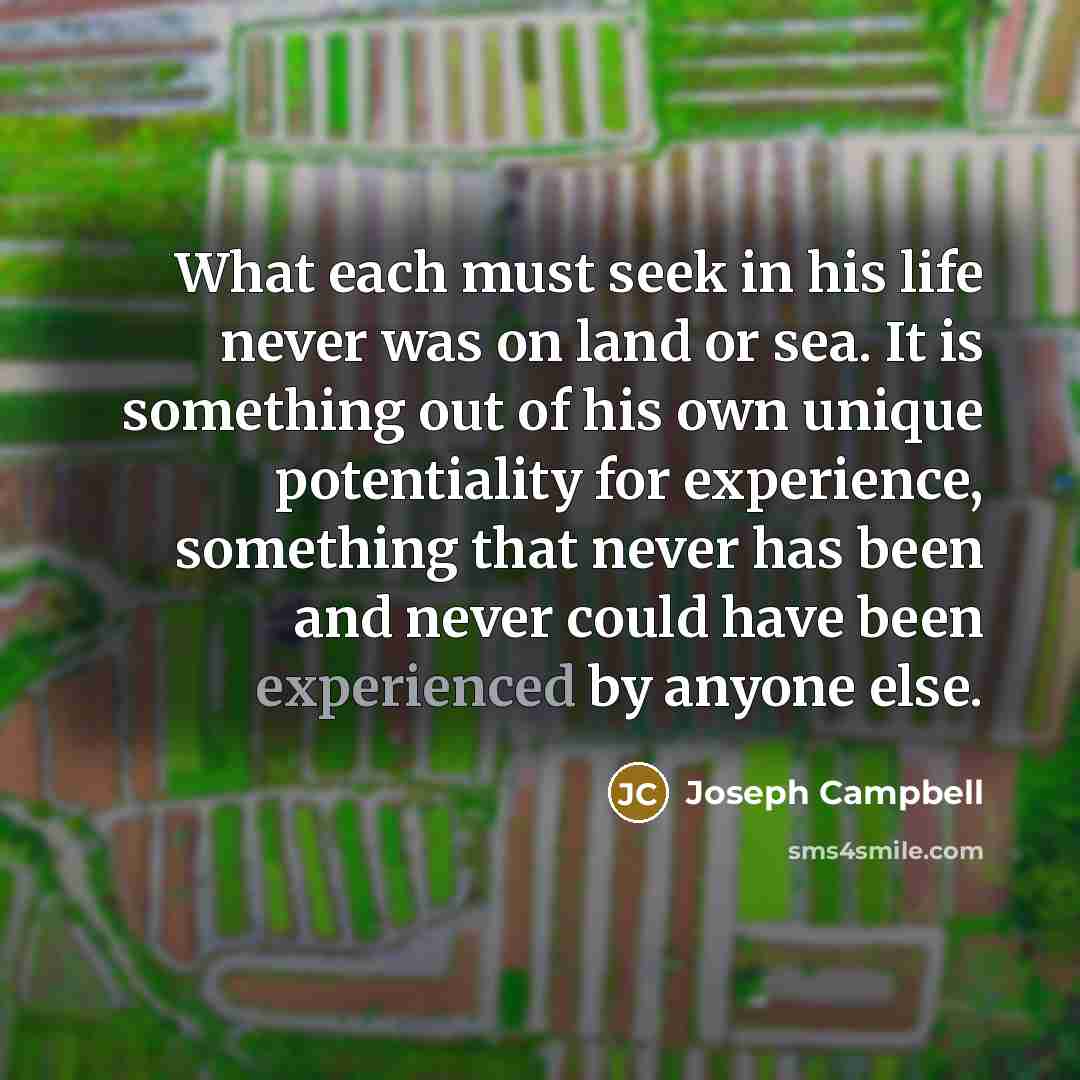 “What each must seek in his life never was on…” quote by Joseph Campbell