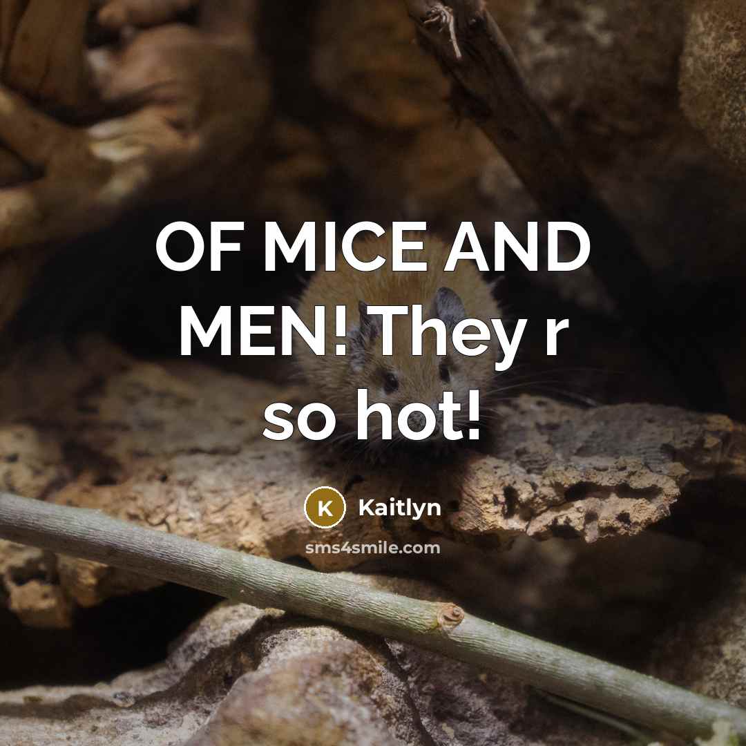 “OF MICE AND MEN! They r so hot!…” quote by Kaitlyn