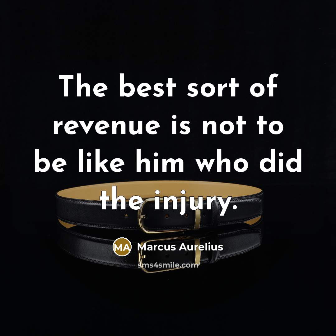 “The best sort of revenue is not to be like…” quote by Marcus Aurelius