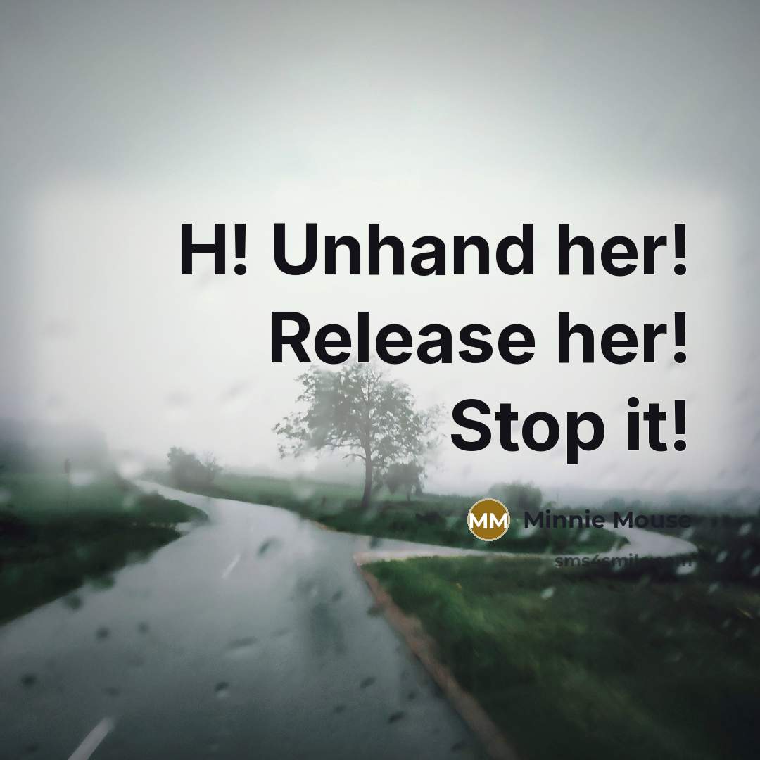 “H! Unhand her! Release her! Stop it!…” quote by Minnie Mouse