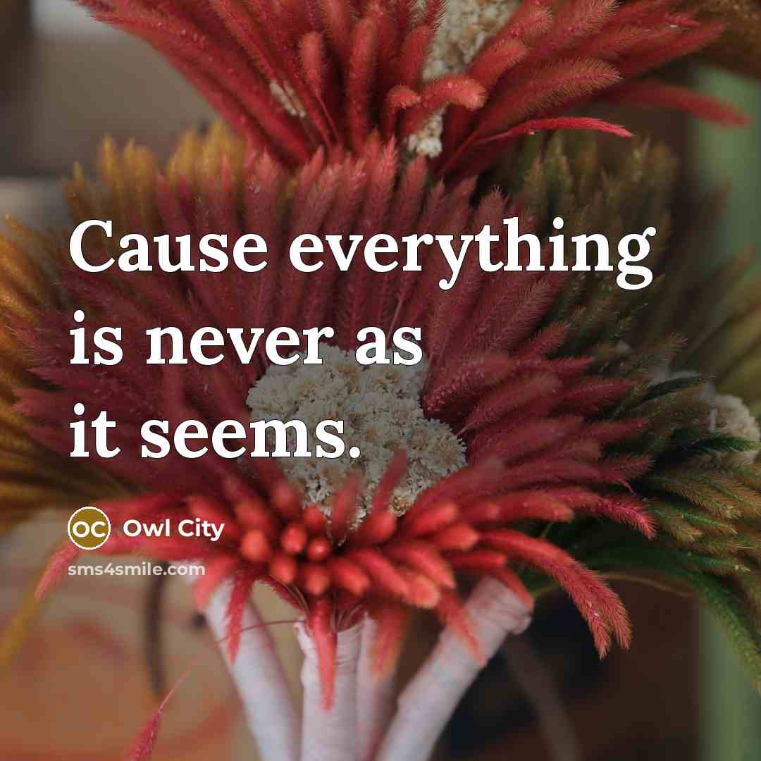“Cause everything is never as it seems.” quote by Owl City