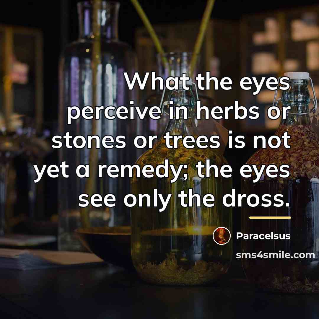 “What the eyes perceive in herbs or stones or trees…” quote by Paracelsus