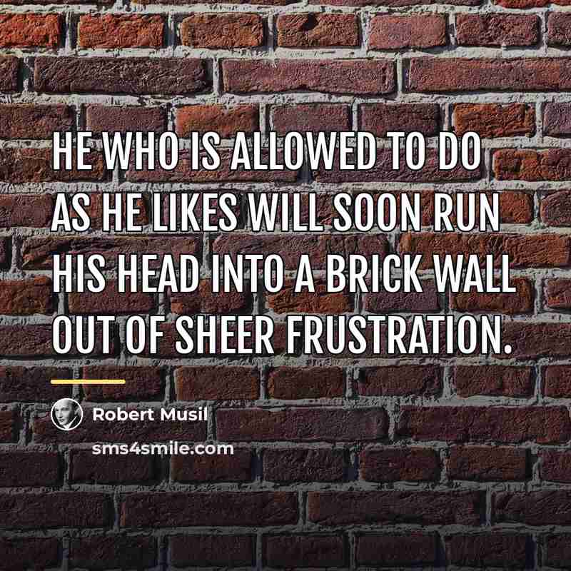 “He who is allowed to do as he likes will…” quote by Robert Musil