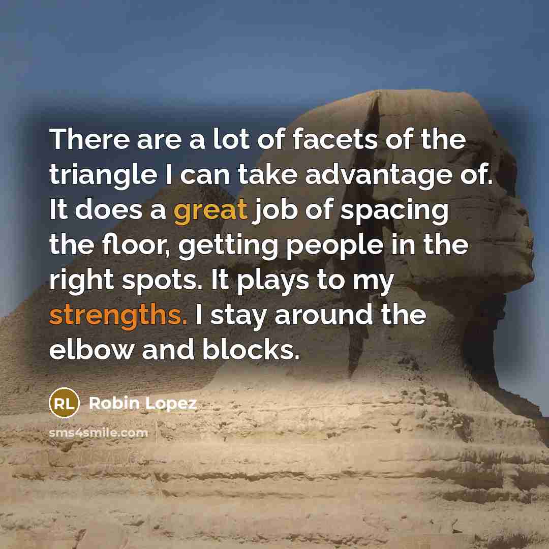 “There are a lot of facets of the triangle I…” quote by Robin Lopez