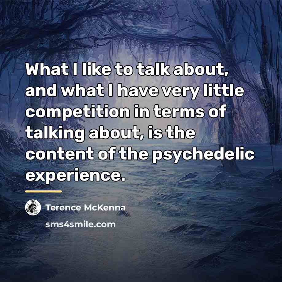 “What I like to talk about, and what I have…” quote by Terence McKenna
