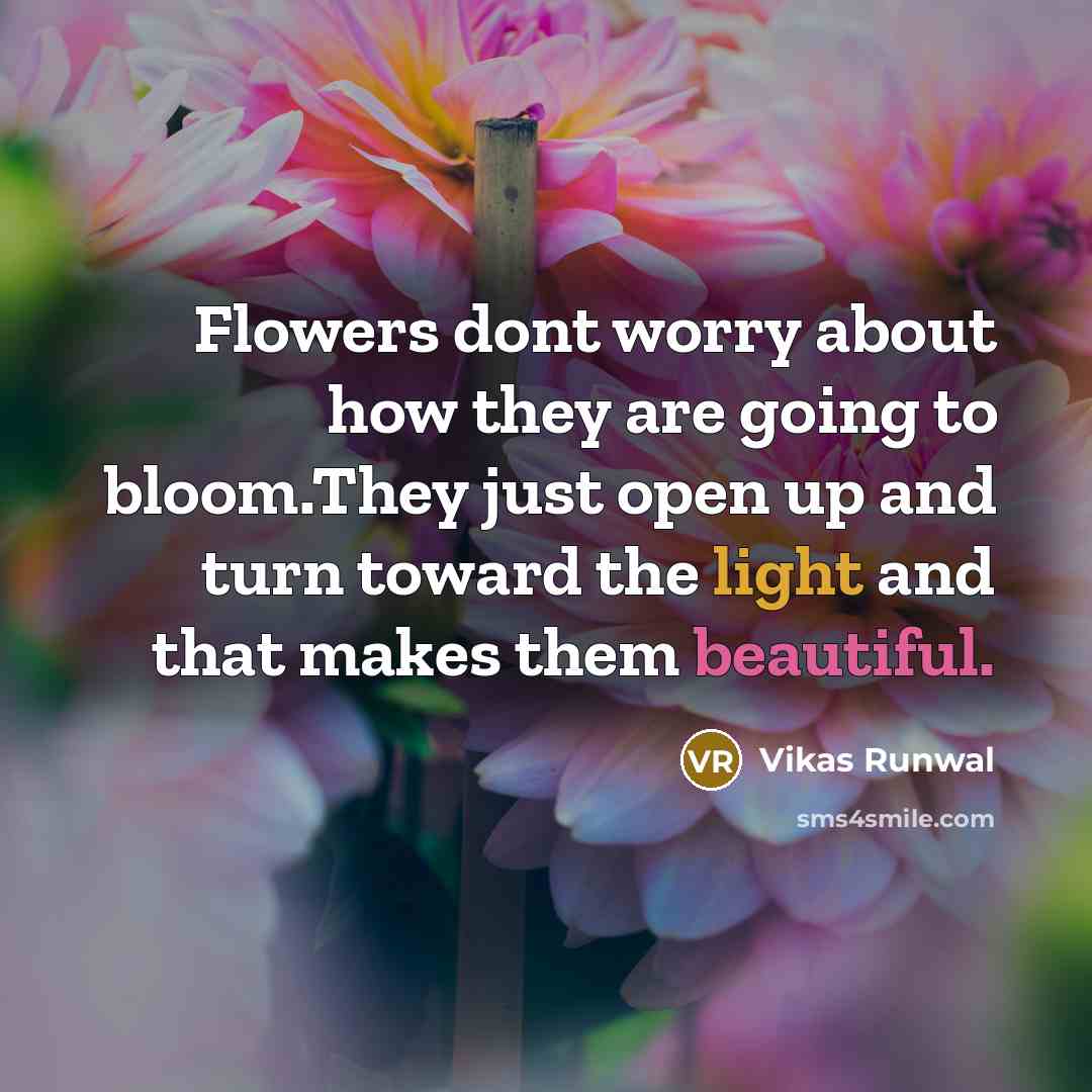 “Flowers dont worry about how they are going to bloom.They just open up and turn toward the light and that makes them beautiful.” quote by Vikas Runwal