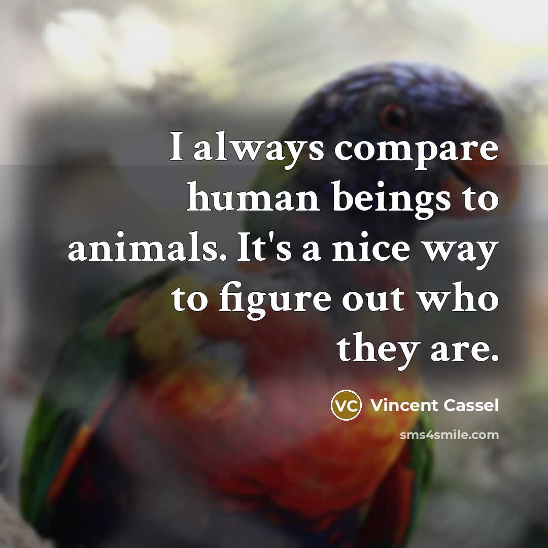 “I always compare human beings to animals. It's a nice…” quote by Vincent Cassel