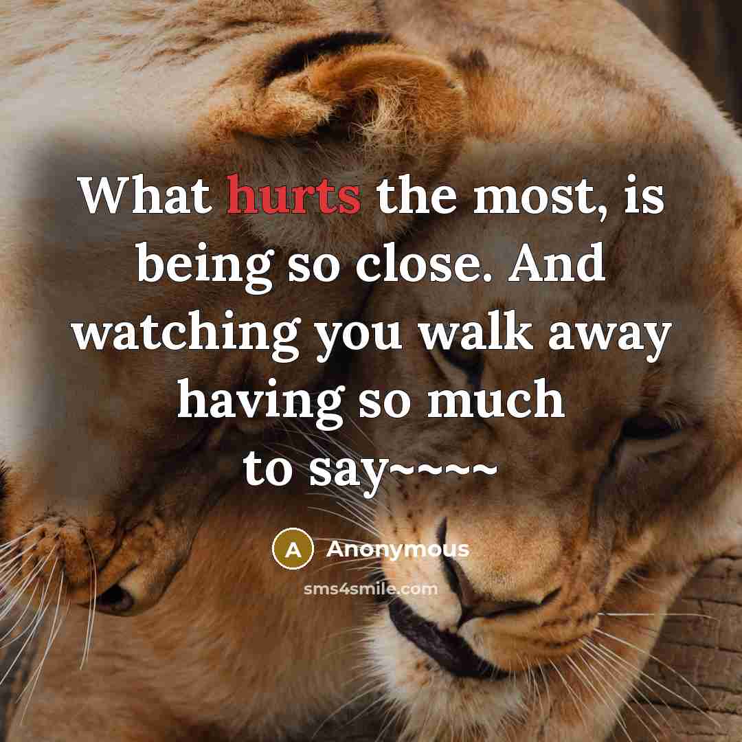 “What hurts the most, is being so close. And watching you walk away having so much to say~~~~” quote by Anonymous