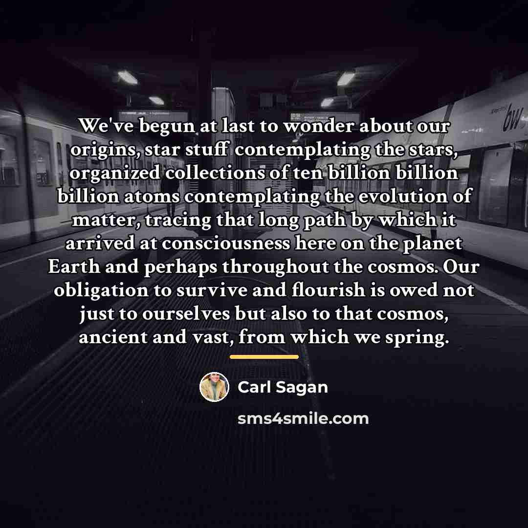 “We've begun at last to wonder about our origins, star…” quote by Carl Sagan