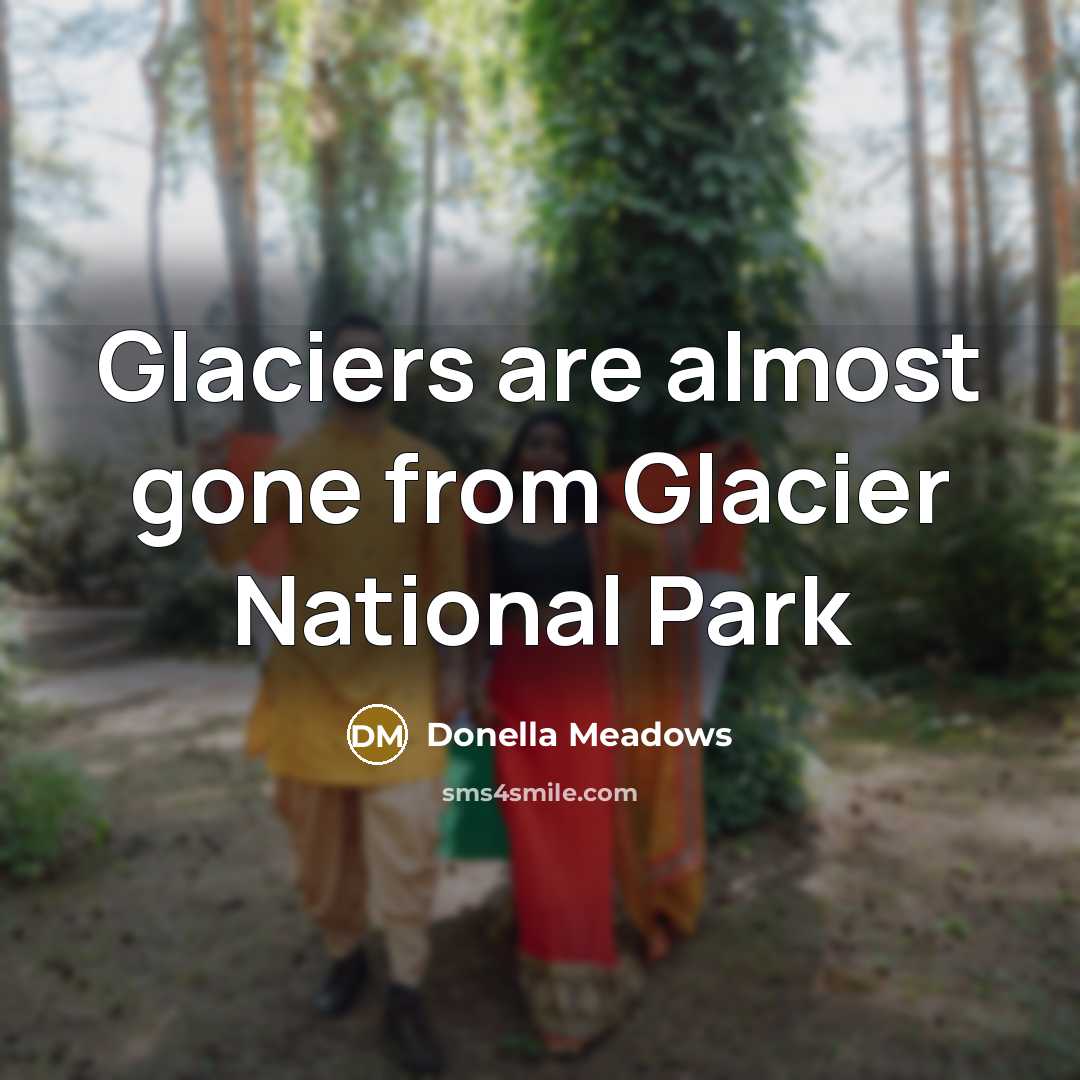 “Glaciers are almost gone from Glacier National Park…” quote by Donella Meadows