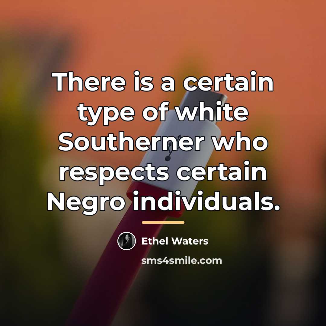 “There is a certain type of white Southerner who respects…” quote by Ethel Waters