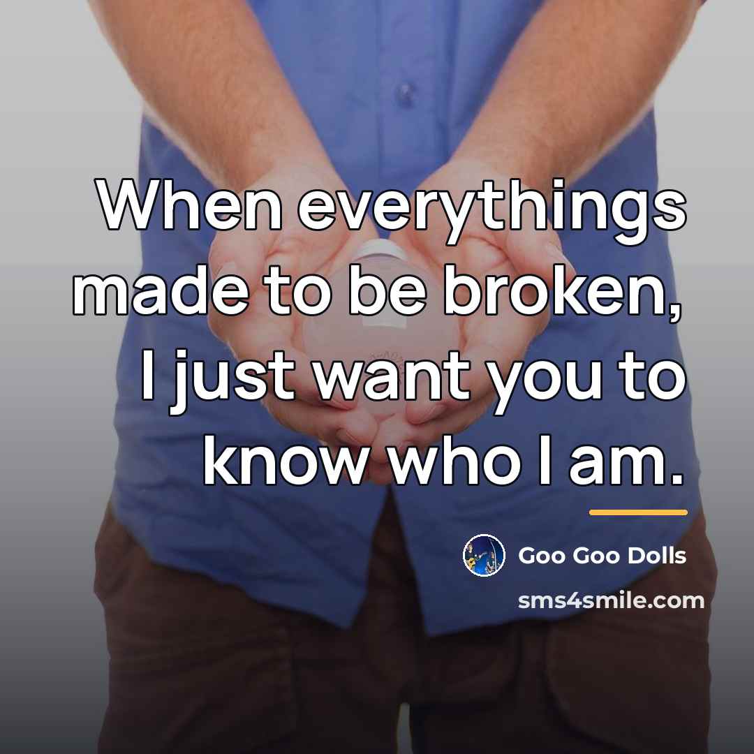 “When everythings made to be broken, I just want you…” quote by Goo Goo Dolls