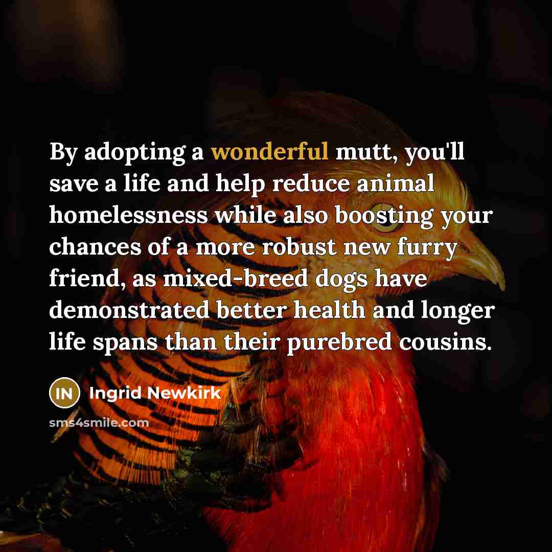 “By adopting a wonderful mutt, you'll save a life and…” quote by Ingrid Newkirk