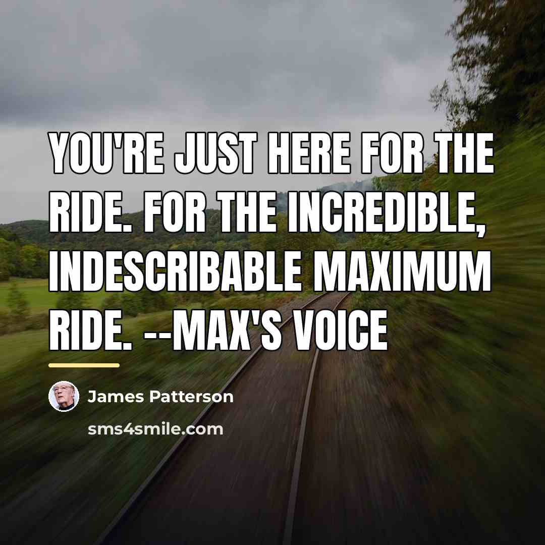 “You're just here for the ride. For the incredible, indescribable…” quote by James Patterson