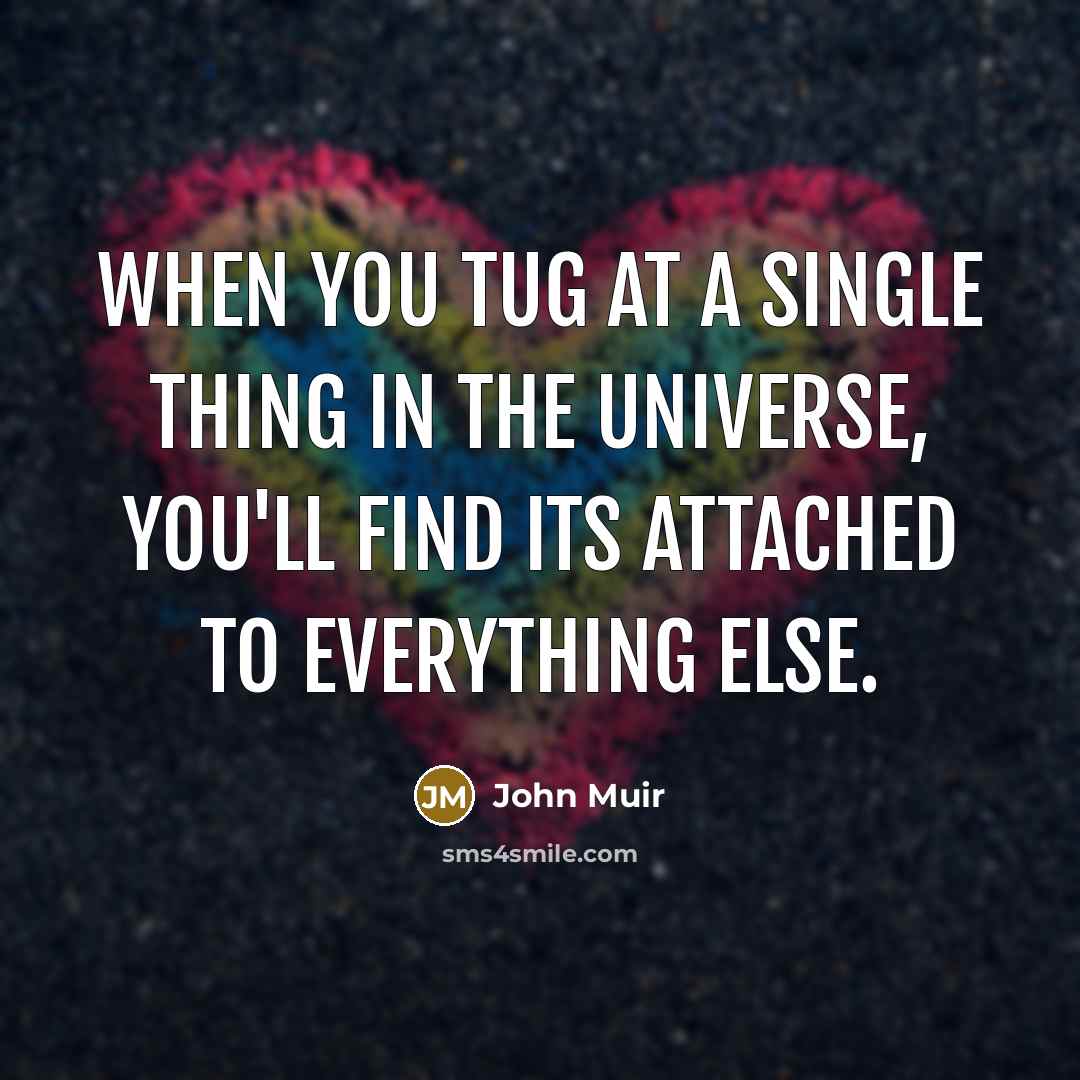 “When you tug at a single thing in the universe, you'll find its attached to everything else.” quote by John Muir