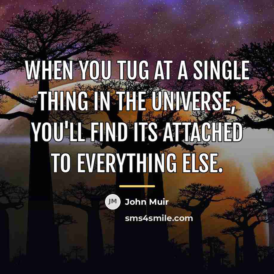 “When you tug at a single thing in the universe,…” quote by John Muir